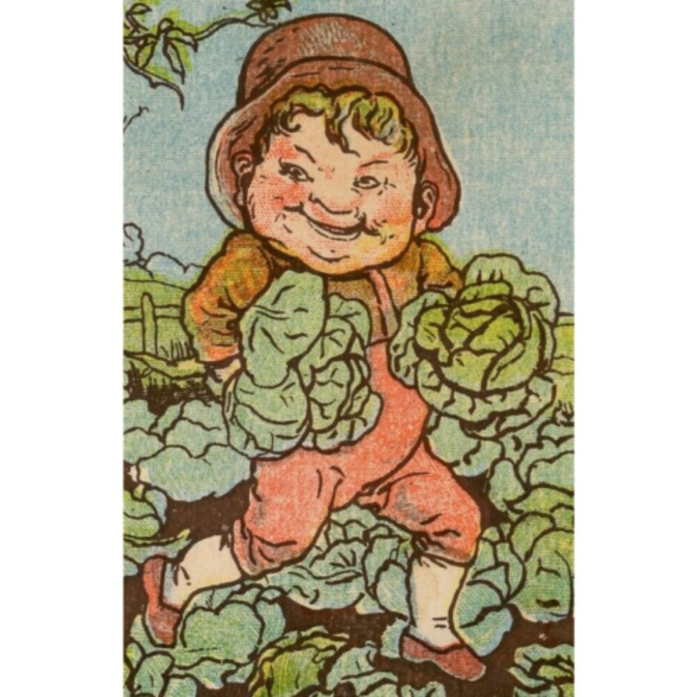 1880's Leprechaun Goblin Little Fat Man Stealing Cabbage Victorian Trade Card